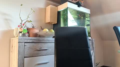 Denise and Brad online show from April 2026 04:40:02 PM