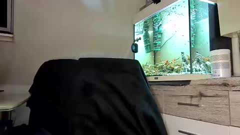 Denise and Brad online show from April 2026 07:58:01 PM