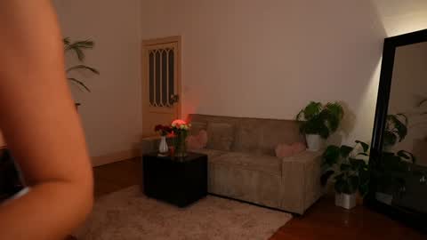 Denise online show from February 2026 04:52:02 PM