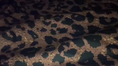 derek829099 online show from September 2025 06:57:02 AM