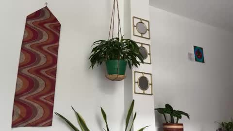 Desidias online show from October 2025 09:03:01 PM