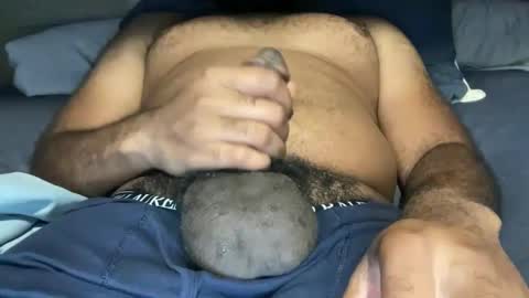 d online show from October 2025 02:53:01 AM