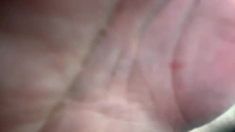 Anna online show from January 2025 01:14:01 PM