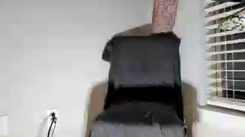 Dextercollins online show from June 2026 09:03:01 AM