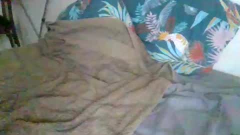 dexterwatchme online show from January 2026 11:15:01 AM