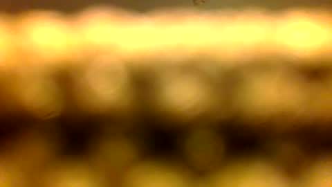 Marcus D-von Steel as the raunchy ass sniffer thrill me with your online show from April 2026 10:41:02 AM