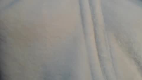 diana online show from December 2024 06:42:01 PM