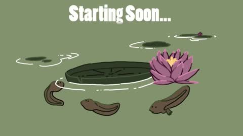 diana online show from December 2024 03:07:01 AM