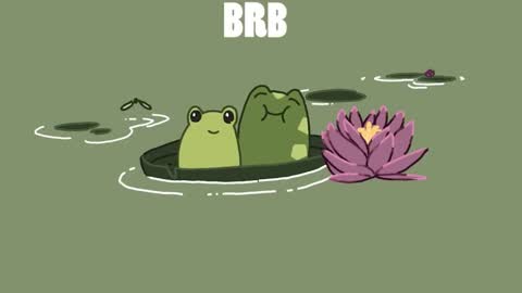 diana online show from December 2024 06:43:02 PM