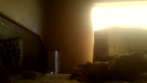 Snapshot of dickdaxxx chatting on March 2025 08:16:01 AM dickdaxxx online show from March 2025 08:16:01 AM