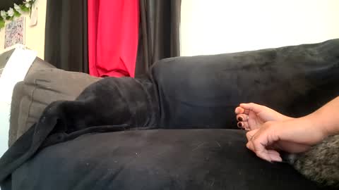 Snapshot of dickies6969 chatting on September 2025 05:47:02 PM dickies6969 online show from September 2025 05:47:02 PM