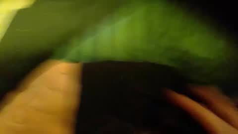 Snapshot of dickionse chatting on February 2025 10:49:02 AM dickionse online show from February 2025 10:49:02 AM