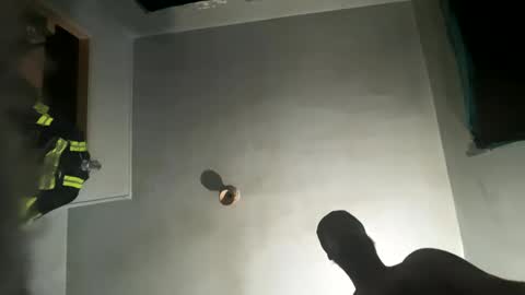 Snapshot of dickybigball chatting on October 2025 11:52:02 AM dickybigball online show from October 2025 11:52:02 AM