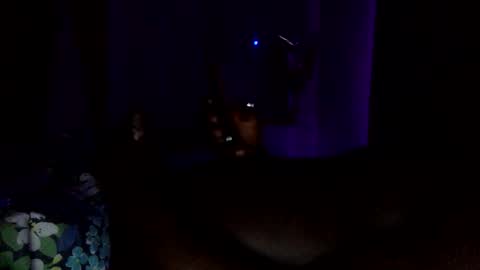 didie1548 online show from April 2026 09:01:01 PM