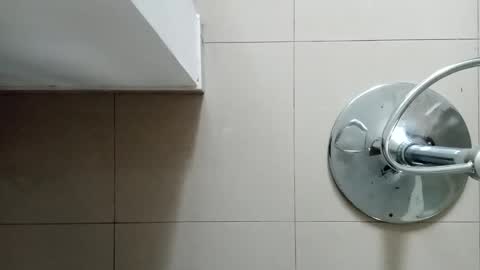 Diego online show from December 2024 09:50:02 AM