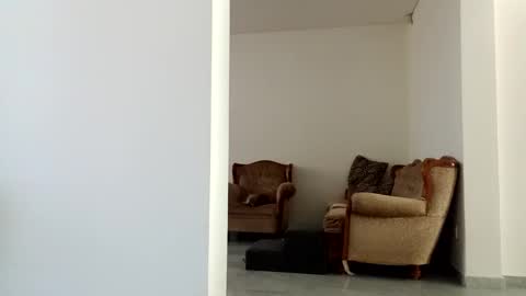 Diego online show from December 2024 06:04:02 PM