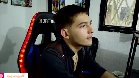 Snapshot of diegorogue_ chatting on March 2025 10:17:02 PM Diego rogue online show from March 2025 10:17:02 PM
