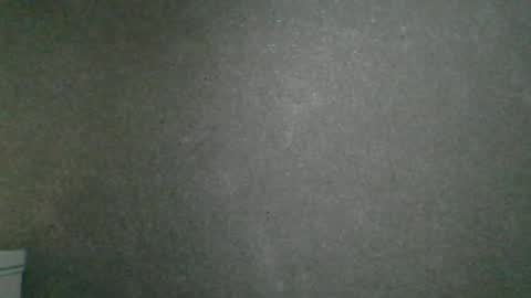 Snapshot of dimasvit5306 chatting on June 2026 07:34:02 PM dimasvit5306 online show from June 2026 07:34:02 PM
