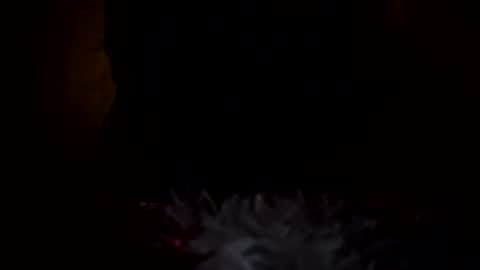 dingler523482 online show from December 2025 06:41:02 AM