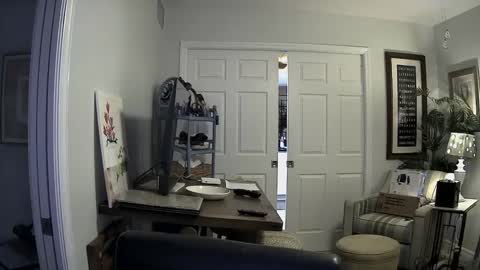 Snapshot of dirkpitt223 chatting on January 2025 03:05:01 AM DirtkPitt Fun guy working online show from January 2025 03:05:01 AM