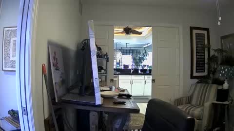 Snapshot of dirkpitt223 chatting on January 2025 04:37:02 PM DirtkPitt Fun guy working online show from January 2025 04:37:02 PM