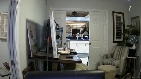 Snapshot of dirkpitt223 chatting on January 2025 02:35:02 AM DirtkPitt Fun guy working online show from January 2025 02:35:02 AM