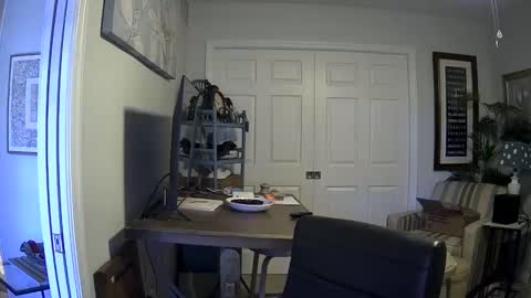 Snapshot of dirkpitt223 chatting on January 2025 03:39:01 PM DirtkPitt Fun guy working online show from January 2025 03:39:01 PM