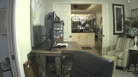 Snapshot of dirkpitt223 chatting on February 2025 06:01:01 AM DirtkPitt Fun guy working online show from February 2025 06:01:01 AM