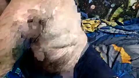 dirtmcgirt82 online show from April 2026 06:06:01 AM