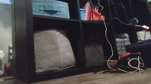 Daisy Wylde online show from December 2024 11:21:01 PM