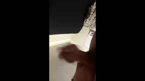 Snapshot of disidente1978 chatting on April 2026 02:34:01 AM disidente1978 online show from April 2026 02:34:01 AM