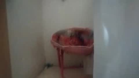 dixonbird41 online show from October 2025 10:12:02 AM