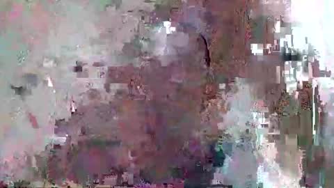 Snapshot of djentlemen1 chatting on November 2025 10:50:02 AM djentlemen1 online show from November 2025 10:50:02 AM