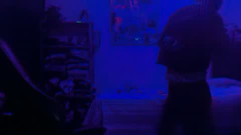 Snapshot of dogboi666 chatting on June 2026 04:34:02 AM Dogboi online show from June 2026 04:34:02 AM