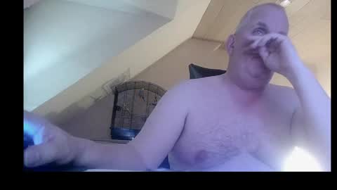 Snapshot of doggy2629 chatting on April 2026 05:54:02 PM doggy2629 online show from April 2026 05:54:02 PM