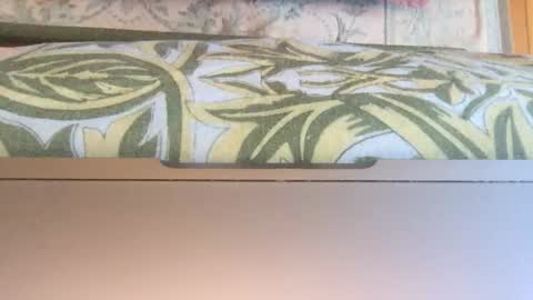 Snapshot of doggy707 chatting on January 2026 12:11:01 PM Theprinceofdarkness online show from January 2026 12:11:01 PM