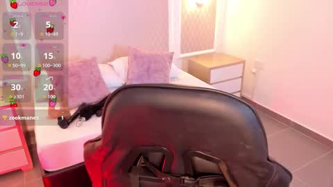 D  online show from December 2025 04:06:01 AM