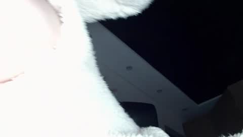 ILONA online show from December 2024 11:54:02 AM