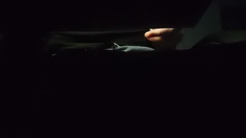 domcook147 online show from January 2025 12:05:02 AM