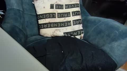 Snapshot of dondiego9999 chatting on January 2025 08:07:02 PM dondiego9999 online show from January 2025 08:07:02 PM