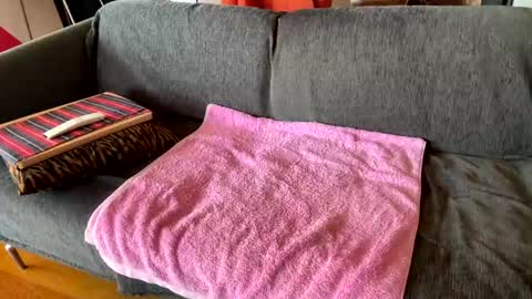 Alfredo online show from April 2026 09:21:01 AM