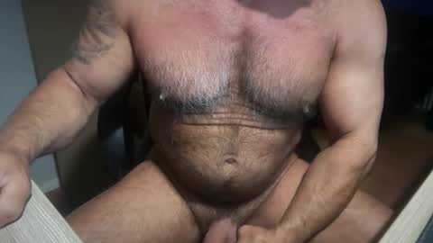 Snapshot of donk566 chatting on February 2026 11:53:02 AM donk566 online show from February 2026 11:53:02 AM