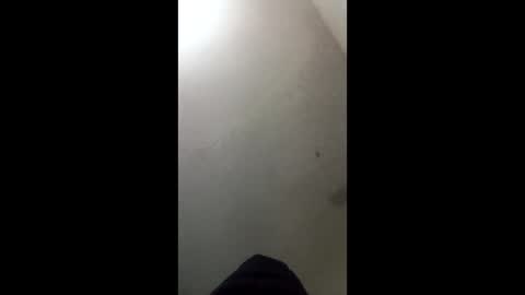 donkeykong34418301 online show from March 2026 06:08:02 AM