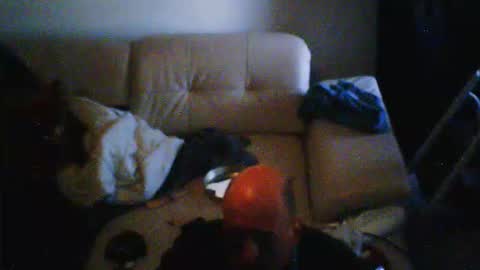 Snapshot of donosus chatting on February 2026 10:05:01 AM donosus online show from February 2026 10:05:01 AM