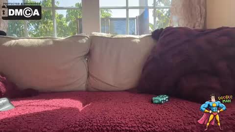 doodleman2077 online show from October 2025 09:56:01 PM