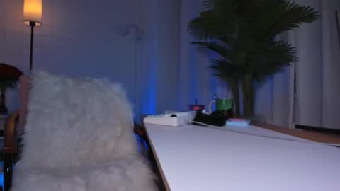    Next stream November 24    online show from March 2026 11:13:01 AM