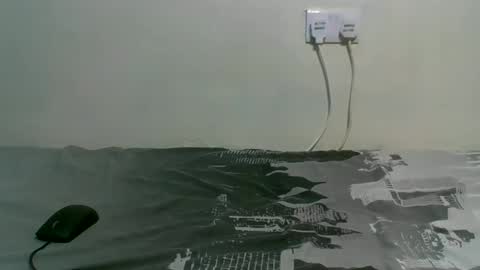 Snapshot of dortomel chatting on October 2025 07:16:01 PM dortomel online show from October 2025 07:16:01 PM