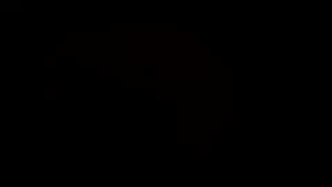 MrPirated online show from March 2025 06:47:02 PM