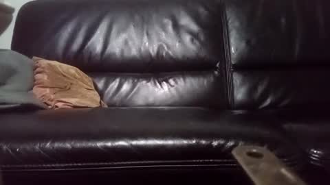 Snapshot of drbretholding chatting on February 2025 03:56:02 AM Carsten Tenberg online show from February 2025 03:56:02 AM