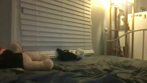 Snapshot of dream1girl_ chatting on January 2025 06:49:02 AM ur dream girl online show from January 2025 06:49:02 AM